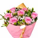 Buque Luxo Rosado