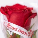 Rosa unitária com embalagem  