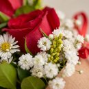 Rosas no cone