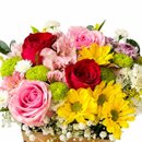 Cachepot Mix de Flores