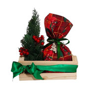 Caixote de Natal
