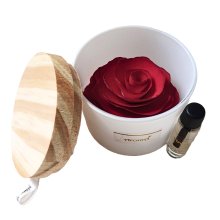 Rosa Vermelha Perfumada Difusora no Pote