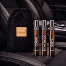 Kit Premium Perfumes para Carro Trilogia Aromá