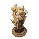 Redoma de vidro com flores desidratadas Coleção Perola
