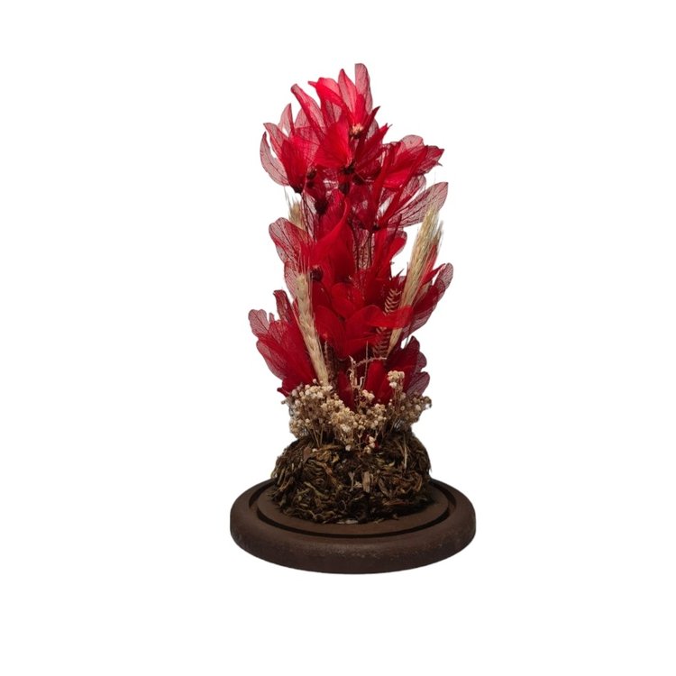 Redoma de vidro com flores desidratadas  Encanto