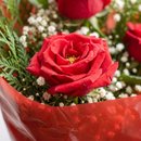 Arranjo Médio de Rosas Vermelhas