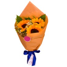 Arranjo Brilho de Luz