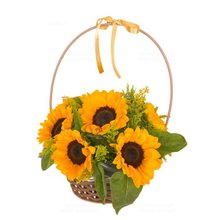 Cesta Encanto de Girassóis