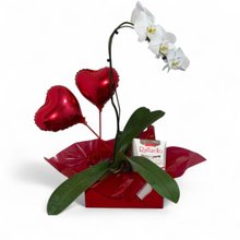 Cesta Amor de Mãe 2