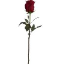 So Uma Rosa Importada