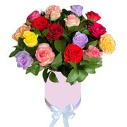 Box Rosas Coloridas