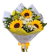 Buque de Girassois Alegres