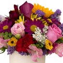 Mini Box Flores Mistas