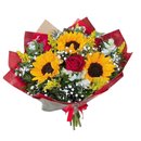 Entre Rosas e Girassóis