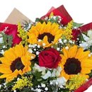 Entre Rosas e Girassóis